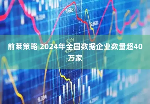 前莱策略 2024年全国数据企业数量超40万家