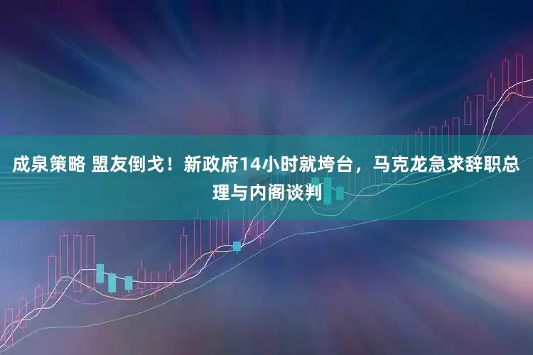 成泉策略 盟友倒戈！新政府14小时就垮台，马克龙急求辞职总理与内阁谈判